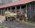 0424-1139 Yasnaya Polyana (4243685)